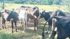 Foto 2 de Fazenda/Sítio com 5 Quartos à venda, 45000m² em Area Rural do Gama, Brasília