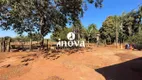 Foto 17 de Fazenda/Sítio com 3 Quartos à venda, 15000m² em Zona Rural, Delta