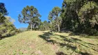 Foto 20 de Fazenda/Sítio à venda, 448000m² em Pedra Branca, Alfredo Wagner