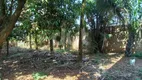 Foto 10 de Fazenda/Sítio com 5 Quartos à venda, 800m² em Chácara Grota Azul, Hortolândia