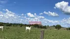 Foto 25 de Fazenda/Sítio à venda em Zona Rural, Araguapaz