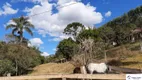 Foto 13 de Fazenda/Sítio com 3 Quartos à venda, 200m² em Centro, Pedra Bela