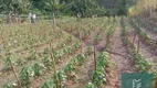 Foto 13 de Lote/Terreno à venda, 4550m² em , São José do Vale do Rio Preto