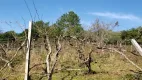 Foto 4 de Fazenda/Sítio com 4 Quartos à venda, 90650m² em , Gramado