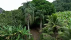 Foto 16 de Fazenda/Sítio com 2 Quartos à venda, 130000m² em Cariacica Sede, Cariacica