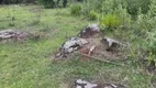 Foto 31 de Fazenda/Sítio à venda, 100m² em Zona Rural, Santo Antônio da Patrulha