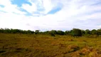 Foto 26 de Fazenda/Sítio com 3 Quartos à venda, 107000000m² em Nhecolândia, Corumbá