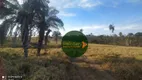 Foto 17 de Fazenda/Sítio à venda, 2565200m² em Zona Rural, Trindade