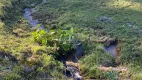 Foto 12 de Fazenda/Sítio à venda, 34000m² em Centro, Doutor Pedrinho