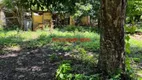 Foto 33 de Fazenda/Sítio com 3 Quartos à venda, 200m² em , Piracanjuba