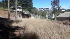 Foto 10 de Lote/Terreno à venda, 1032m² em Vale das Colinas, Gramado