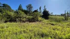 Foto 7 de Lote/Terreno à venda, 4900m² em Chácara Bela Vista, Campinas