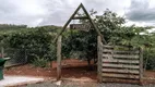 Foto 31 de Fazenda/Sítio com 5 Quartos à venda, 500m² em Chácaras Sao Miguel, Londrina