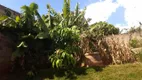 Foto 22 de Fazenda/Sítio com 3 Quartos à venda, 180m² em Sao Luiz, Paulínia