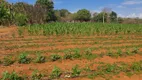 Foto 19 de Fazenda/Sítio com 5 Quartos à venda, 20300m² em Setor Residencial Mestre D Armas, Brasília