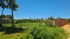 Foto 11 de Lote/Terreno à venda em Centro, São Miguel dos Milagres