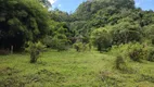 Foto 27 de Fazenda/Sítio à venda, 67500m² em Zona Rural, Delfim Moreira