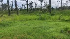 Foto 5 de Lote/Terreno à venda, 250m² em Jussara, Mongaguá