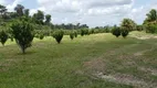 Foto 4 de Fazenda/Sítio à venda, 28m² em Zona Rural , Manaus