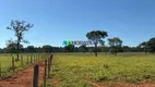 Foto 41 de Fazenda/Sítio com 1 Quarto à venda, 63m² em Zona Rural, Paraopeba