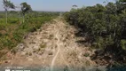 Foto 22 de Fazenda/Sítio à venda, 1461m² em Zona Rural, Dois Irmãos do Tocantins