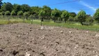 Foto 10 de Lote/Terreno à venda, 120000m² em Vale dos Vinhedos, Bento Gonçalves