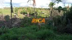 Foto 17 de Fazenda/Sítio à venda, 500000m² em Zona Rural, Humaitá