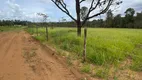 Foto 3 de Fazenda/Sítio à venda, 20000m² em Ponte Alta Norte, Brasília