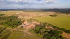Foto 32 de Fazenda/Sítio com 3 Quartos à venda, 300m² em Zona Rural, Goiatins