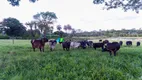 Foto 22 de Fazenda/Sítio com 5 Quartos à venda, 11m² em Zona Rural, Inhaúma