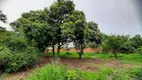 Foto 55 de Fazenda/Sítio com 3 Quartos para alugar, 250m² em Campestre, Piracicaba