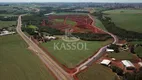 Foto 3 de Lote/Terreno à venda, 394m² em Recanto Tropical, Cascavel