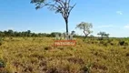 Foto 7 de Fazenda/Sítio à venda em Setor Central, Pium