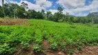 Foto 15 de Fazenda/Sítio à venda, 105065m² em Linha Araripe, Gramado