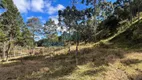 Foto 21 de Fazenda/Sítio com 3 Quartos à venda, 60000m² em Centro, Gonçalves