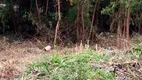 Foto 3 de Lote/Terreno à venda, 500m² em Fazendinha, Teresópolis