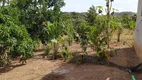 Foto 23 de Fazenda/Sítio com 2 Quartos à venda, 3000m² em Vila Sao Joao, Senador Canedo
