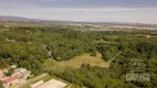 Foto 3 de Lote/Terreno à venda, 2765m² em Jardim Pio XII, Pinhais