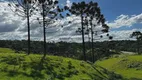 Foto 12 de Fazenda/Sítio à venda, 540000m² em Zona Rural, Bocaina do Sul