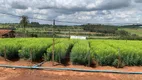 Foto 7 de Fazenda/Sítio à venda, 121000m² em Campo Novo, Bragança Paulista