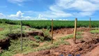 Foto 6 de Fazenda/Sítio com 2 Quartos à venda, 1815000m² em , Paranapanema