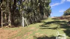 Foto 12 de Fazenda/Sítio com 2 Quartos à venda, 18700m² em Campestre da Faxina, São José dos Pinhais