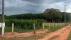 Foto 15 de Fazenda/Sítio com 2 Quartos à venda, 100m² em Zona Rural, Bálsamo