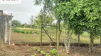 Foto 20 de Fazenda/Sítio com 2 Quartos à venda, 5250m² em Colônia Murici, São José dos Pinhais