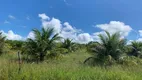 Foto 4 de Fazenda/Sítio com 4 Quartos à venda, 40000m² em Centro, 