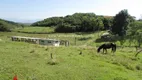 Foto 27 de Fazenda/Sítio com 4 Quartos à venda, 170000m² em Japuíba, Cachoeiras de Macacu