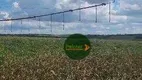 Foto 11 de Fazenda/Sítio à venda, 8700000m² em Area Rural de Uberlandia, Uberlândia