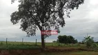 Foto 6 de Fazenda/Sítio à venda, 5313m² em Zona Rural, Bela Vista de Goiás