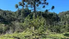 Foto 5 de Fazenda/Sítio com 2 Quartos à venda, 20000m² em Centro, Rancho Queimado