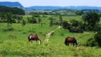 Foto 19 de Fazenda/Sítio com 2 Quartos à venda, 145000m² em , Porangaba